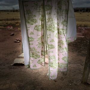 Pottery Barn Kids Green and pink Curtains